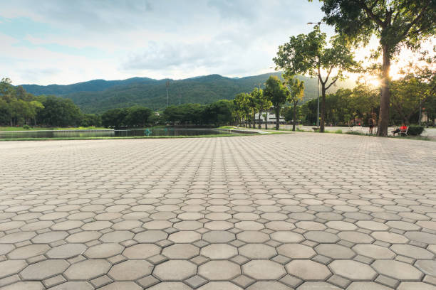 Best Residential Paver Driveway  in Dade City, FL